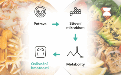 Jak bakterie ve střevech ovlivňují vaši váhu