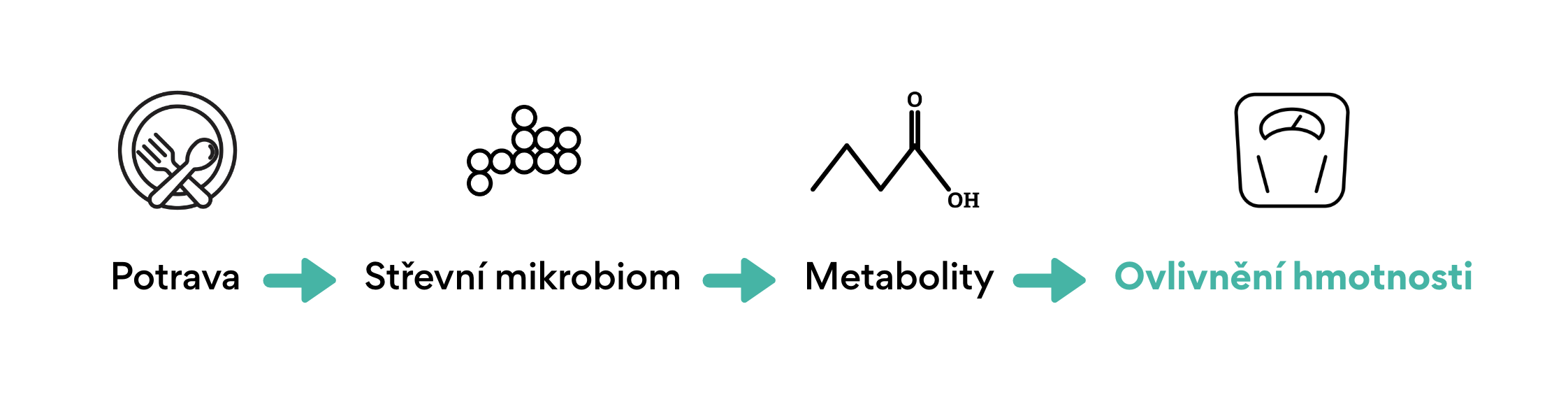 potrava-střevní mikrobiom-metabolity-ovlivnění hmotnosti