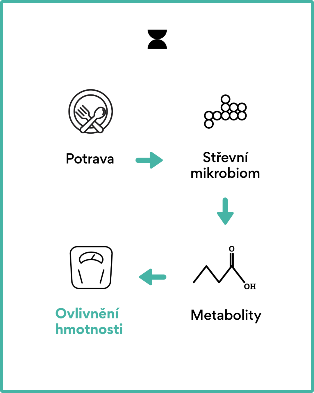 potrava-střevní mikrobiom-metabolity-ovlivnění hmotnosti