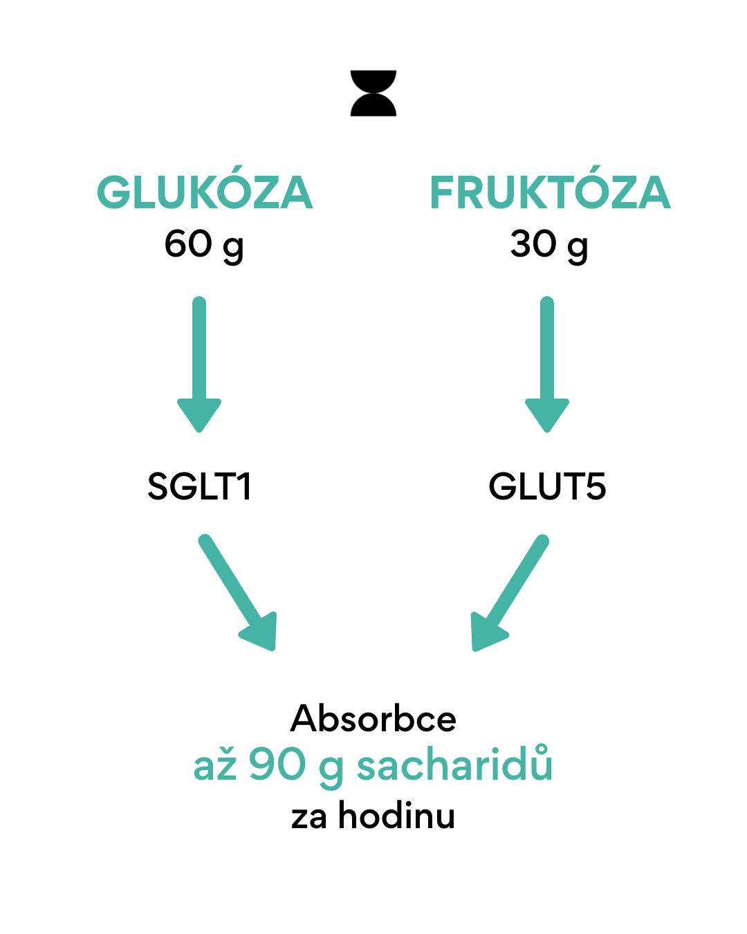 vytrvalostní sport zažívání graf fruktoza a glukoza